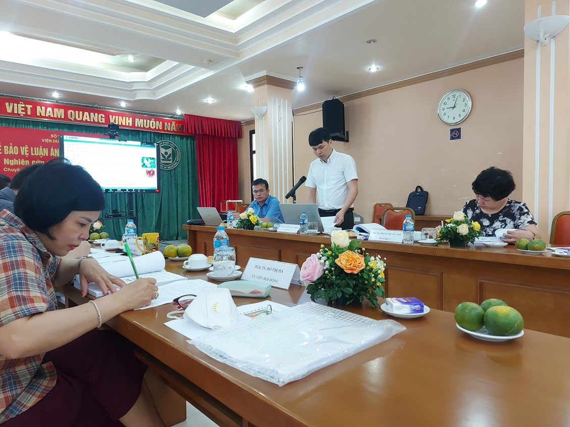 Không có ảnh